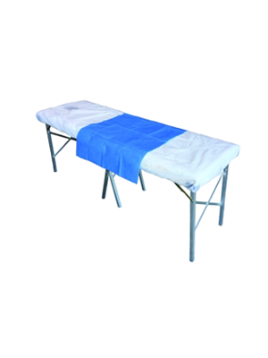 Haines® Disposable Modesty Flat Sheet - Ctn/200