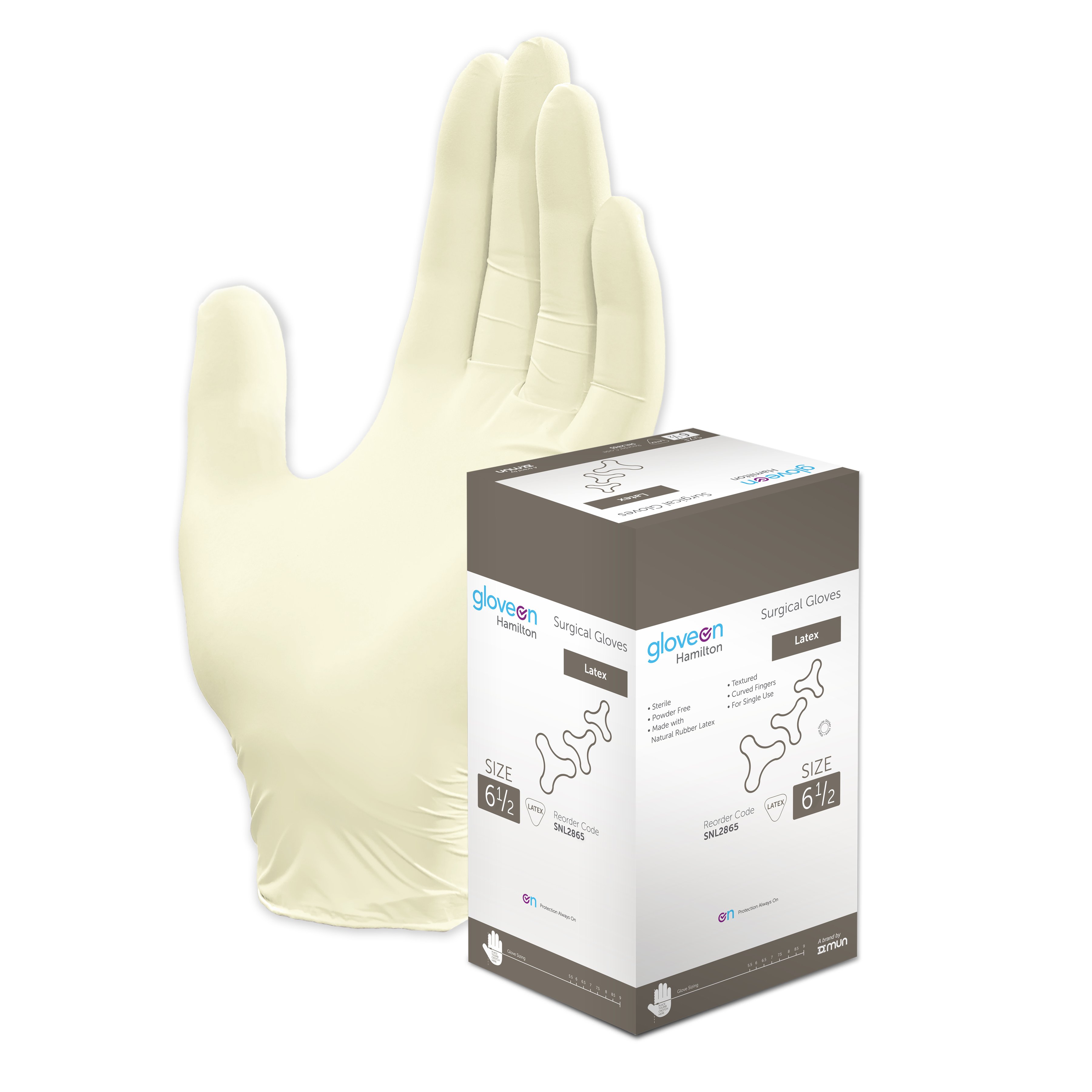 Surgical glove best sale size