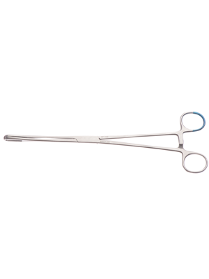 Rampley Forceps 25 cm 