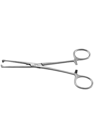 Armo Tissue Forceps Allis 4×5 15cm  