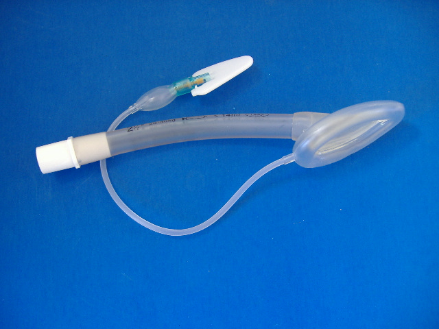 LARYNGEAL MASK SIZE 2.5 DISPOSABLE