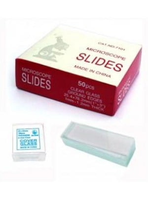 MICROSCOPE SLIDES PLAIN - Box/50